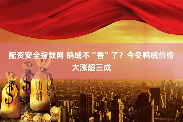 配资安全指数网 鹅绒不“香”了？今冬鸭绒价格大涨超三成