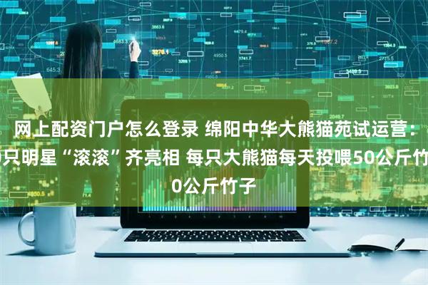 网上配资门户怎么登录 绵阳中华大熊猫苑试运营：20只明星“滚滚”齐亮相 每只大熊猫每天投喂50公斤竹子