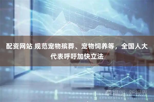 配资网站 规范宠物殡葬、宠物饲养等，全国人大代表呼吁加快立法