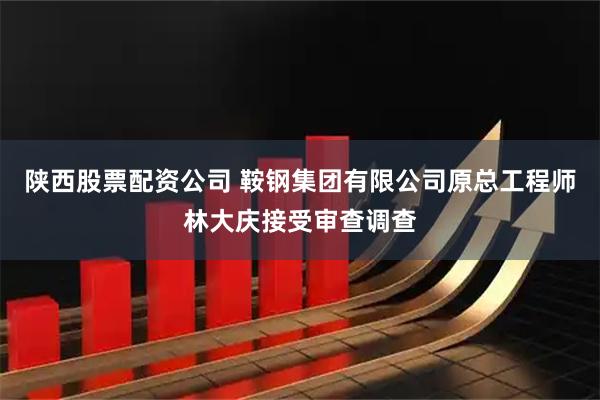陕西股票配资公司 鞍钢集团有限公司原总工程师林大庆接受审查调查